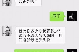 邹城贷款清欠服务